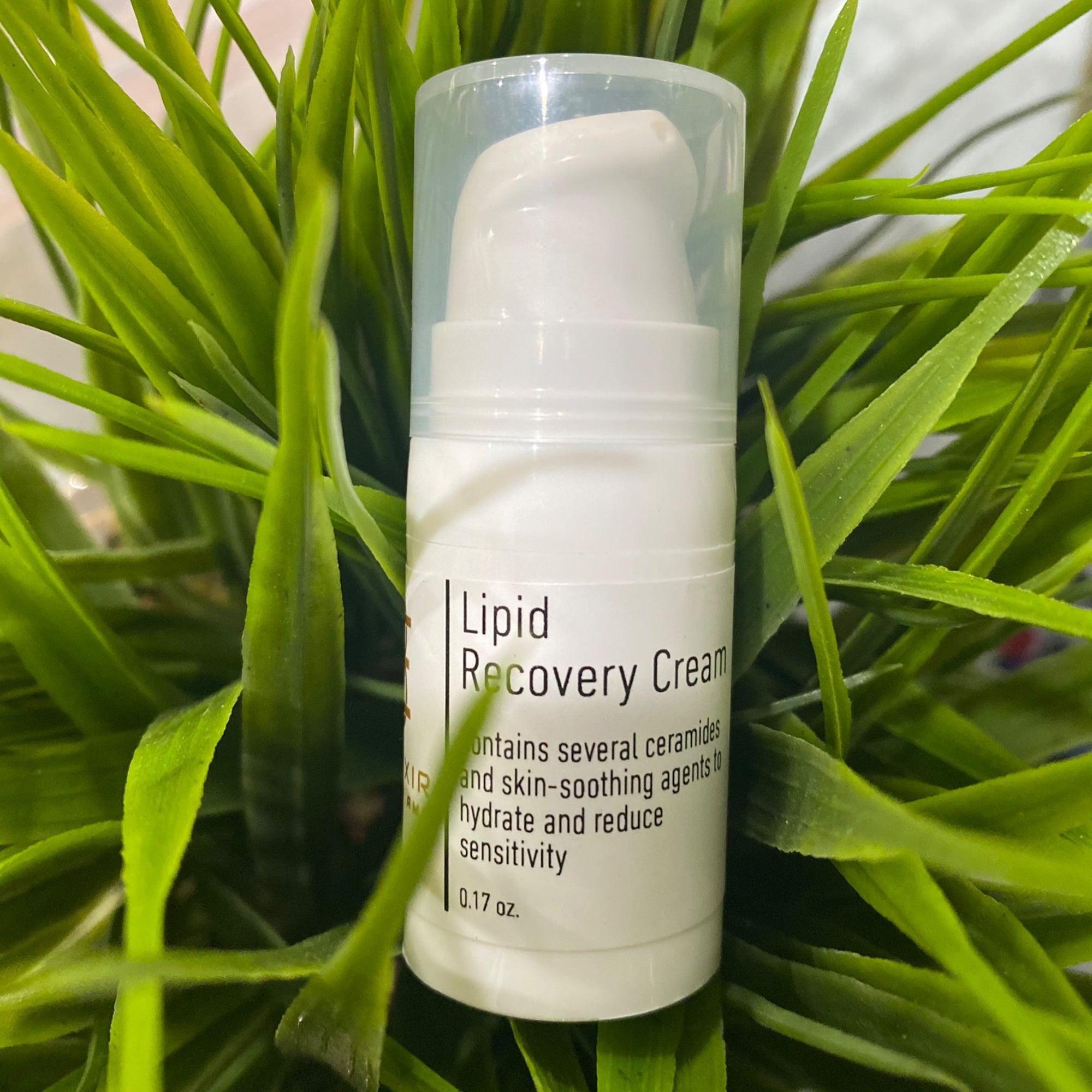 Lipid Recovery Cream